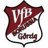 VfB Borussia Görzig*
