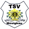 TSV 1894 Mosigkau