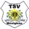 TSV 1894 Mosigkau II