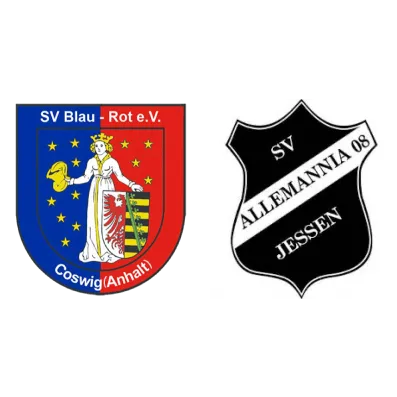 (1M) SV Blau-Rot Coswig <span class="nowrap bold mx-1">0 : 2</span> SV Allemannia Jessen