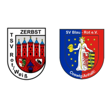 (D) TSV Rot-Weiß Zerbst <span class="nowrap bold mx-1">1 : 7</span> SV Blau-Rot Coswig