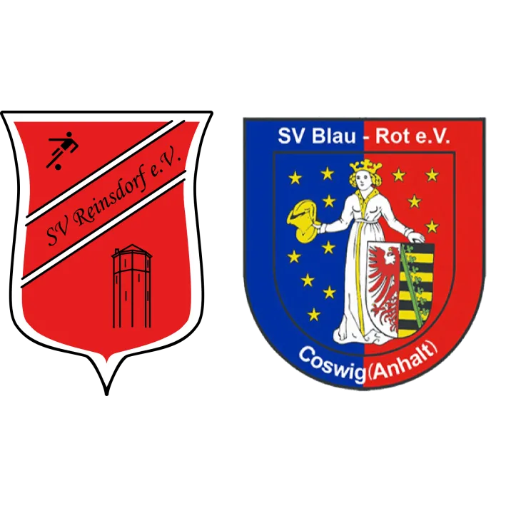 (2M) SV Reinsdorf <span class="nowrap bold mx-1">4 : 2</span> SV Blau-Rot Coswig II