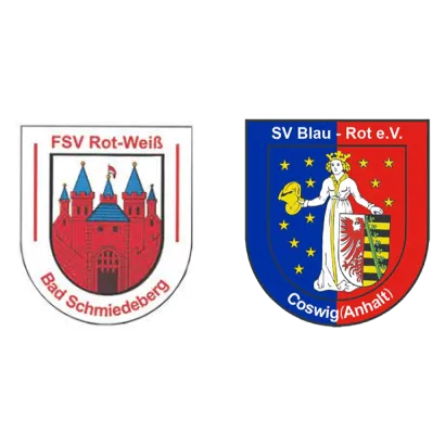 (D) FSV Bad Schmiedeberg II <span class="nowrap bold mx-1">3 : 1</span> SV Blau-Rot Coswig