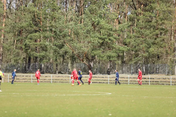 Heimspiel VFB Gräfenhainichen 9.4.2022