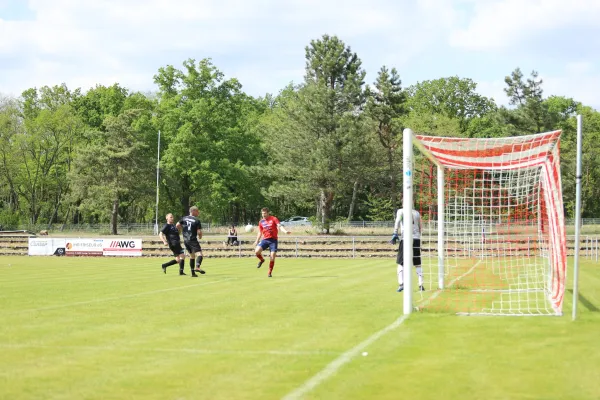 Heimspiel Victoria Wittenberg 14.05.2022