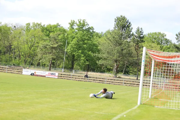 Heimspiel Victoria Wittenberg 14.05.2022