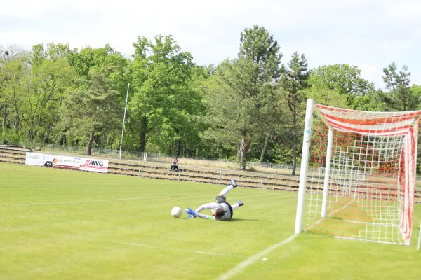 Heimspiel Victoria Wittenberg 14.05.2022