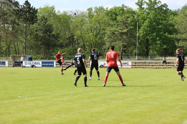 Heimspiel Victoria Wittenberg 14.05.2022