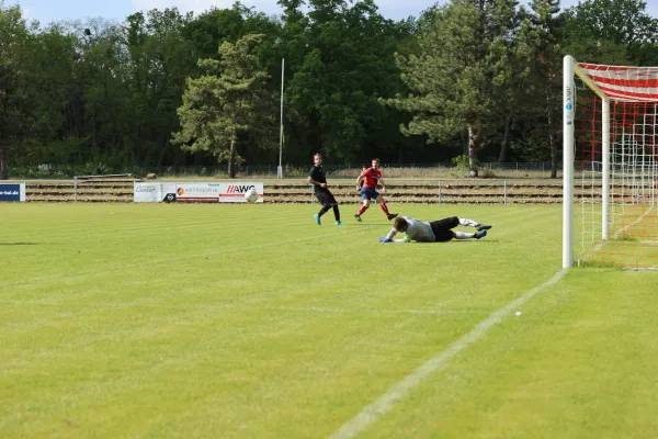 Heimspiel Victoria Wittenberg 14.05.2022