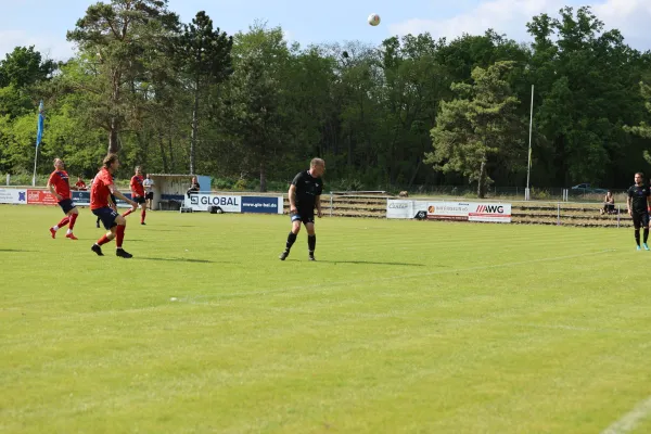 Heimspiel Victoria Wittenberg 14.05.2022