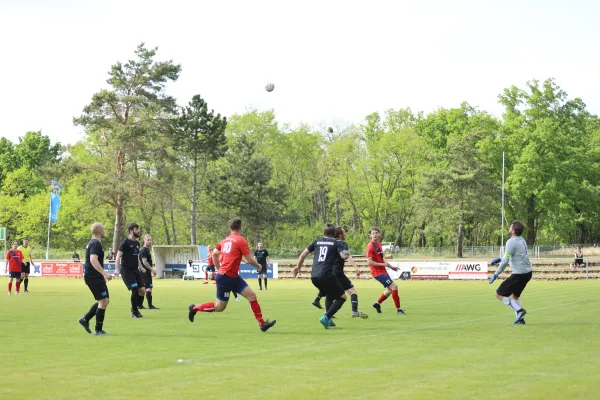 Heimspiel Victoria Wittenberg 14.05.2022