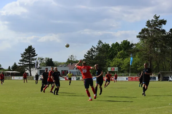 Heimspiel Victoria Wittenberg 14.05.2022