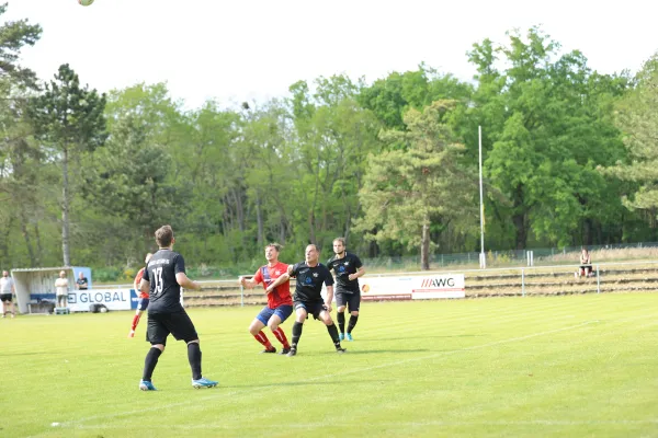 Heimspiel Victoria Wittenberg 14.05.2022