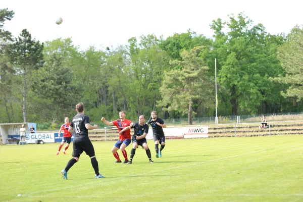 Heimspiel Victoria Wittenberg 14.05.2022