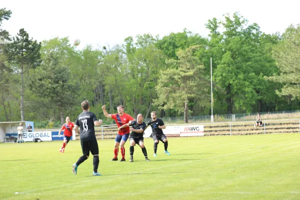 Heimspiel Victoria Wittenberg 14.05.2022