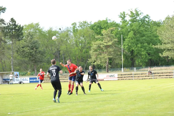 Heimspiel Victoria Wittenberg 14.05.2022