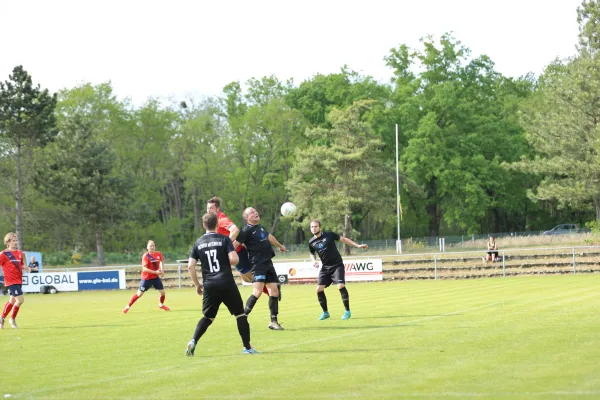 Heimspiel Victoria Wittenberg 14.05.2022