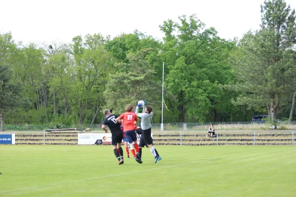 Heimspiel Victoria Wittenberg 14.05.2022