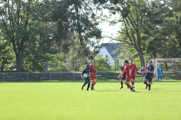 Heimspiel VFB Gräfenhainichen 17.9.2022