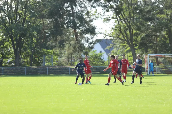 Heimspiel VFB Gräfenhainichen 17.9.2022