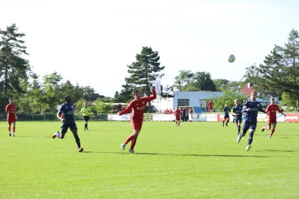 Heimspiel VFB Gräfenhainichen 17.9.2022