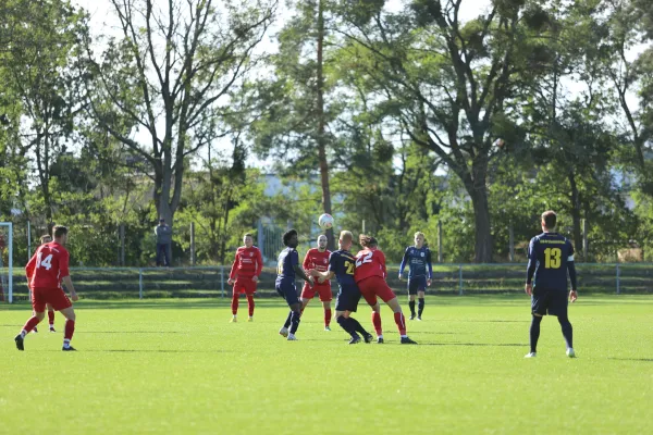 Heimspiel VFB Gräfenhainichen 17.9.2022