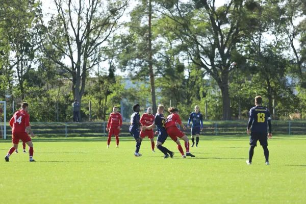 Heimspiel VFB Gräfenhainichen 17.9.2022