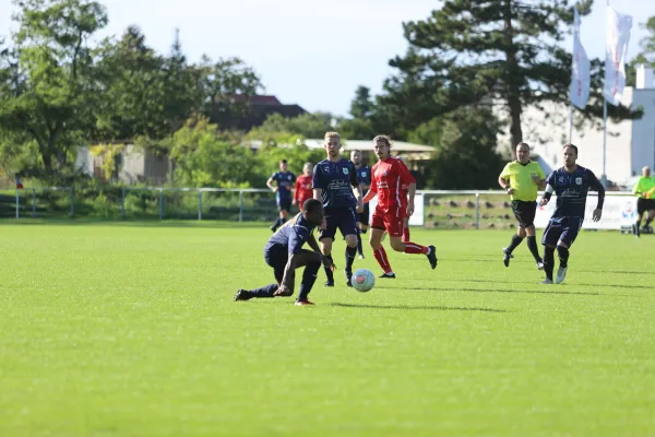 Heimspiel VFB Gräfenhainichen 17.9.2022