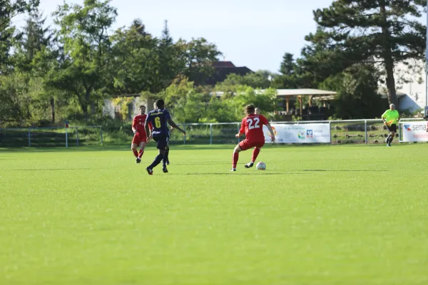 Heimspiel VFB Gräfenhainichen 17.9.2022