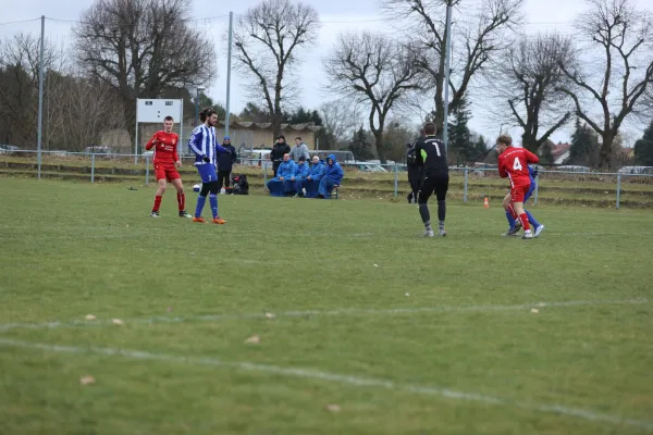 Heimspiel 04.03.2023 Dessauer SV 97