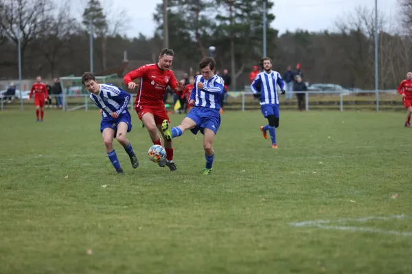 Heimspiel 04.03.2023 Dessauer SV 97