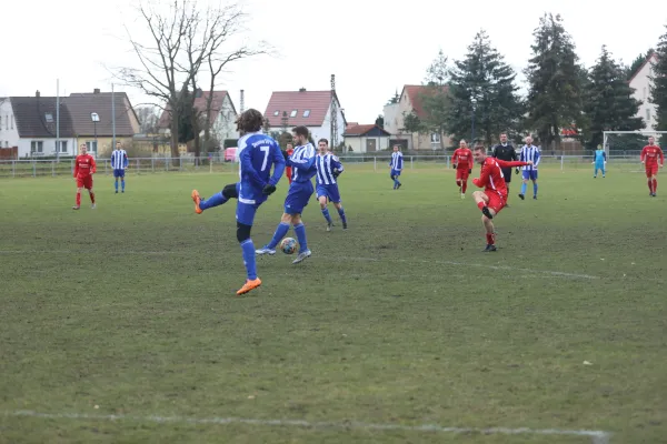 Heimspiel 04.03.2023 Dessauer SV 97