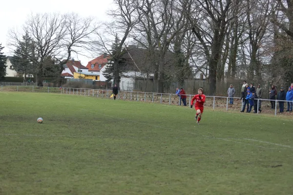 Heimspiel 04.03.2023 Dessauer SV 97