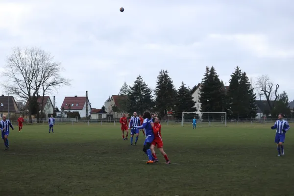 Heimspiel 04.03.2023 Dessauer SV 97