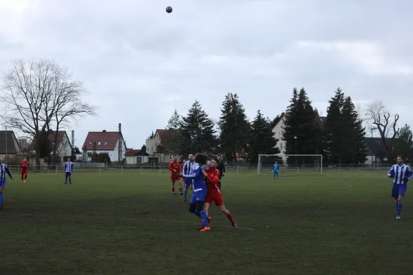 Heimspiel 04.03.2023 Dessauer SV 97