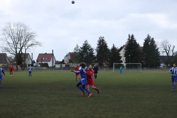 Heimspiel 04.03.2023 Dessauer SV 97