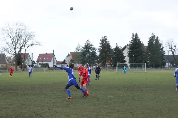 Heimspiel 04.03.2023 Dessauer SV 97