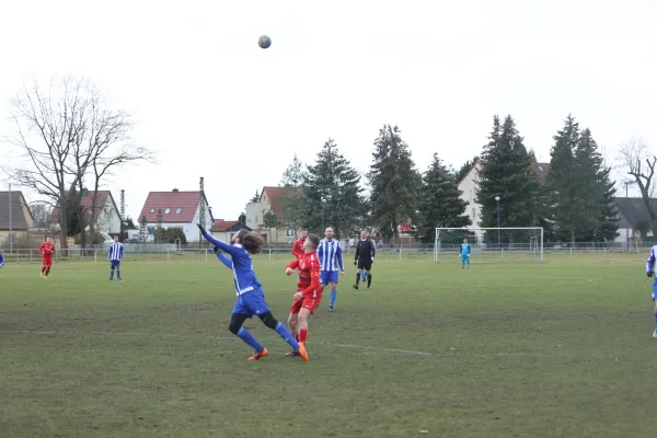 Heimspiel 04.03.2023 Dessauer SV 97