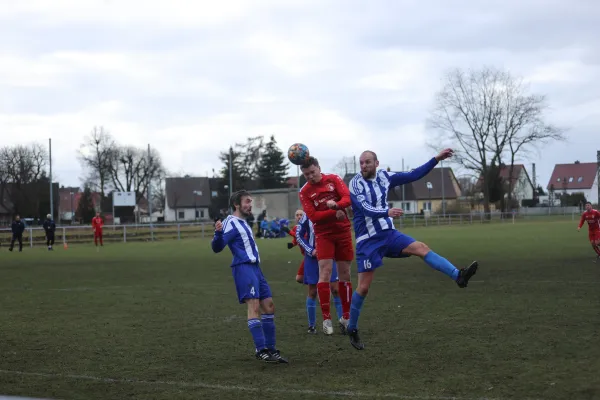 Heimspiel 04.03.2023 Dessauer SV 97