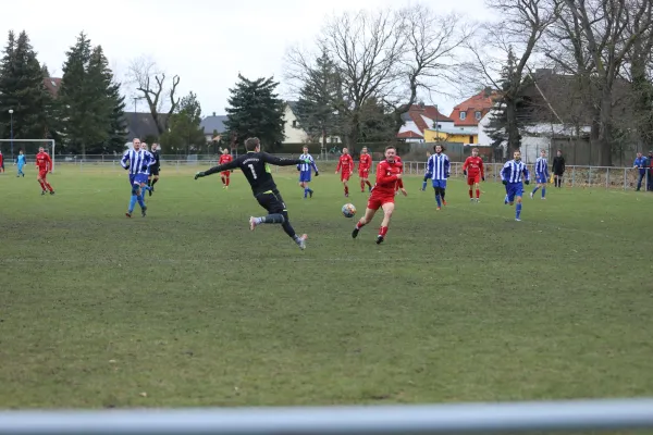 Heimspiel 04.03.2023 Dessauer SV 97