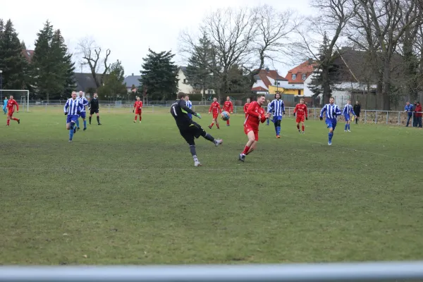 Heimspiel 04.03.2023 Dessauer SV 97