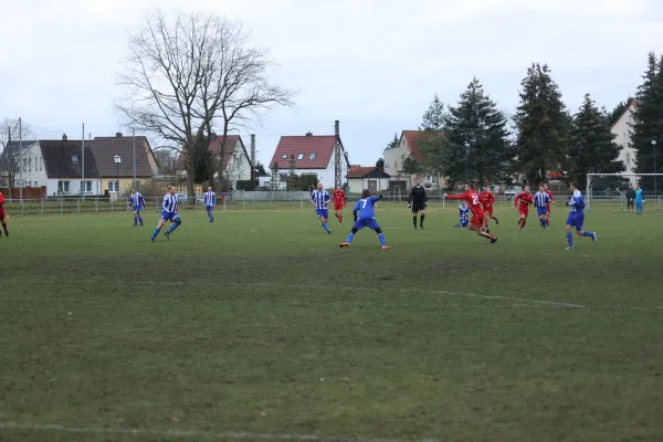 Heimspiel 04.03.2023 Dessauer SV 97