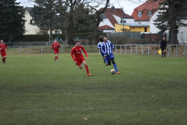 Heimspiel 04.03.2023 Dessauer SV 97