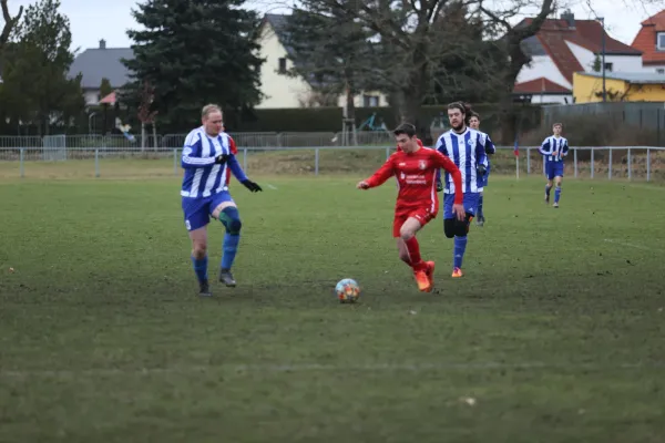 Heimspiel 04.03.2023 Dessauer SV 97