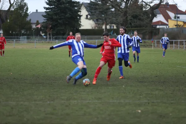 Heimspiel 04.03.2023 Dessauer SV 97