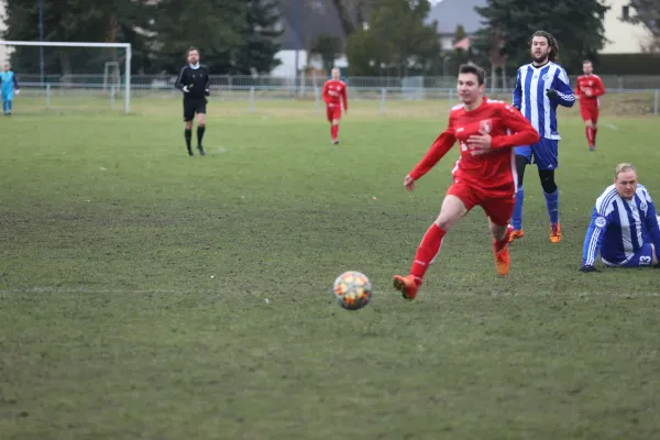 Heimspiel 04.03.2023 Dessauer SV 97