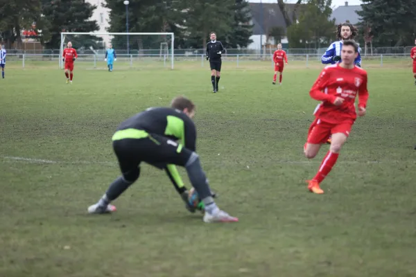 Heimspiel 04.03.2023 Dessauer SV 97