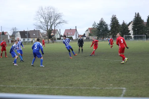 Heimspiel 04.03.2023 Dessauer SV 97