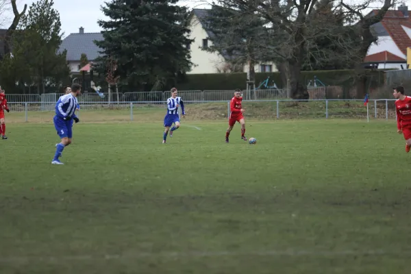 Heimspiel 04.03.2023 Dessauer SV 97