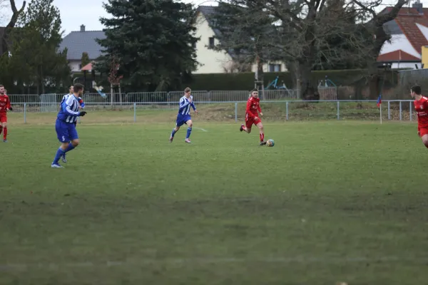 Heimspiel 04.03.2023 Dessauer SV 97